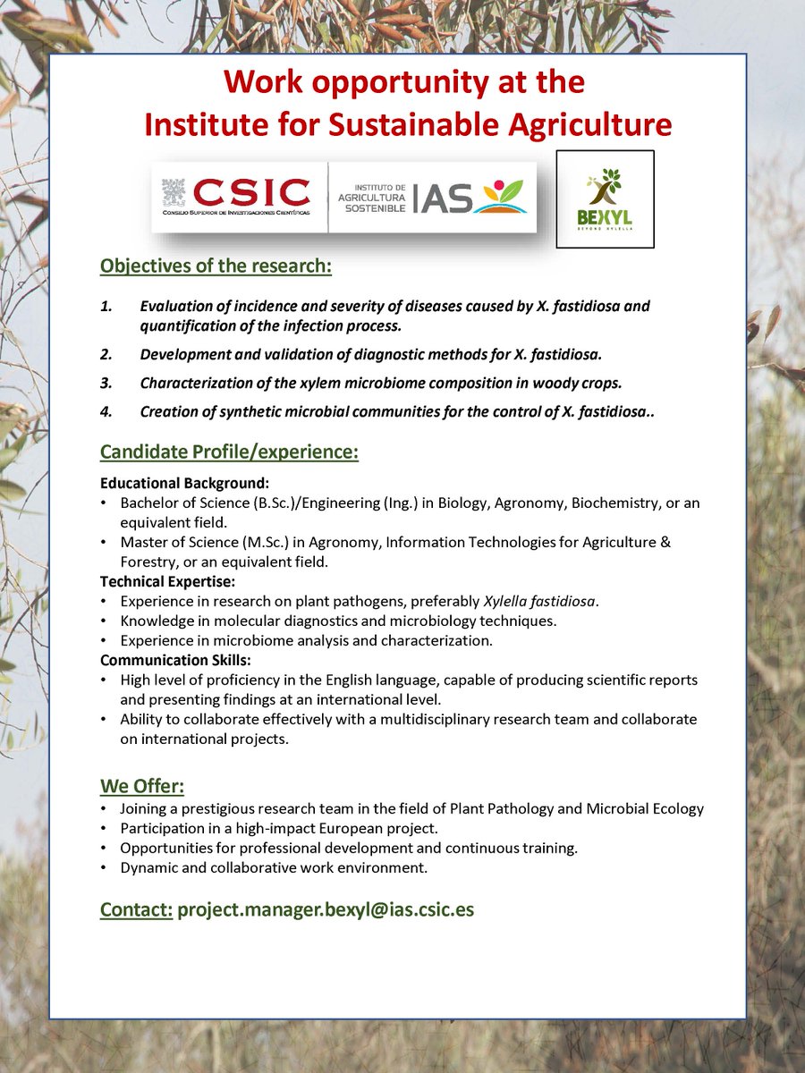 The <a href="/IAS_CSIC/">IAS-CSIC</a> and the @BeXylP are hiring! Check out the job offer below and send your application to project.manager.bexyl@ias.csic.es