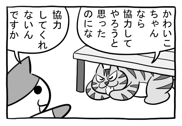 ねこまんがかいてみた357「センシティブ」  #ねこ #ネコ #猫 #白猫 #黒猫 #猫漫画 #4コマ #4コマ漫画 #マンガ #漫画 #かわいい #ジェンダー #差別 #オス #cat #漫画が読めるハッシュタグ