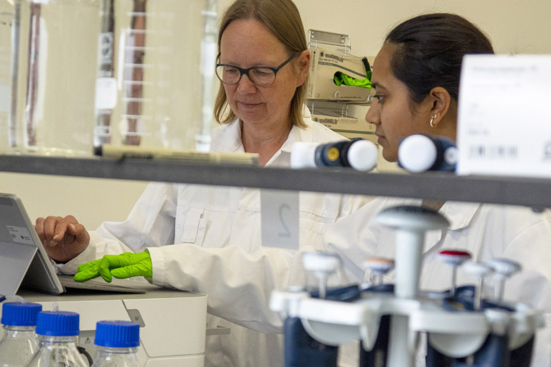 Biodiversity Genomics Europe (BGE) (@biogeneurope) on Twitter photo 20 projects selected for the <a href="/erga_biodiv/">European Reference Genome Atlas</a>-BGE call will boost biodiversity genomics in Europe! 🧬
Funding will enhance reference genomes to <a href="/EBPgenome/">Earth BioGenome Project 🌍</a> standards and generate crucial genomic data.
Stay tuned for updates and explore our map: biodiversitygenomics.eu/2024/07/18/enh…
<a href="/REA_research/">European Research Executive Agency</a> 20 projects selected for the <a href="/erga_biodiv/">European Reference Genome Atlas</a>-BGE call will boost biodiversity genomics in Europe! 🧬
Funding will enhance reference genomes to <a href="/EBPgenome/">Earth BioGenome Project 🌍</a> standards and generate crucial genomic data.
Stay tuned for updates and explore our map: biodiversitygenomics.eu/2024/07/18/enh…
<a href="/REA_research/">European Research Executive Agency</a>