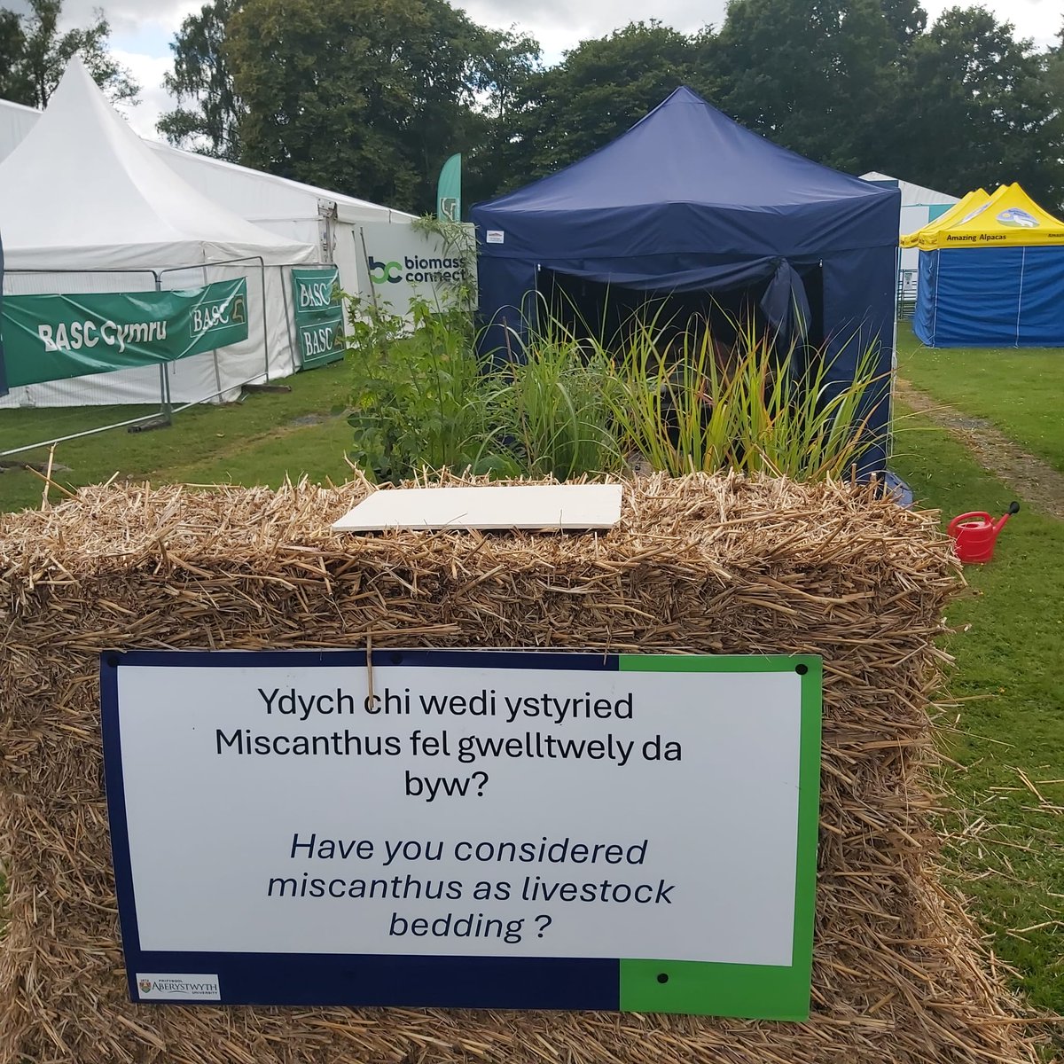 BiomassConnect's tweet image. Are you ready to discover the future of sustainable energy? Come visit the Biomass Connect stand at the Royal Welsh Show today! 🌿🚜

#RoyalWelshShow #BiomassConnect #SustainableEnergy #GreenFuture #AgricultureInnovation