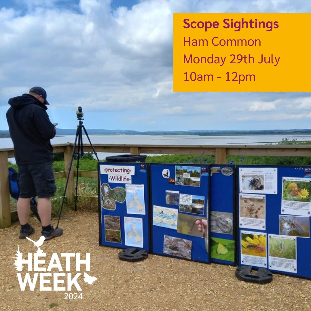 Dorset Heaths Partnership tweet media