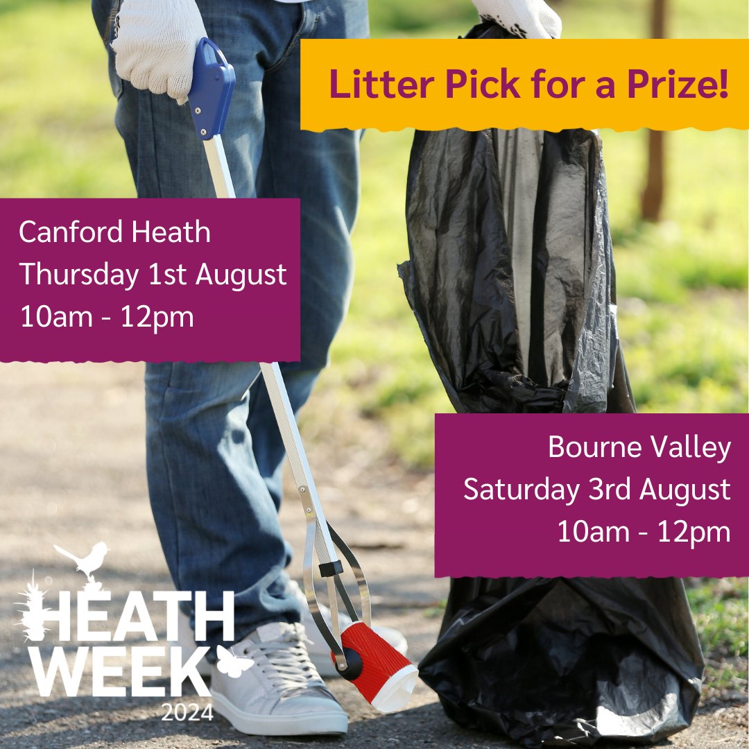 Dorset Heaths Partnership tweet media