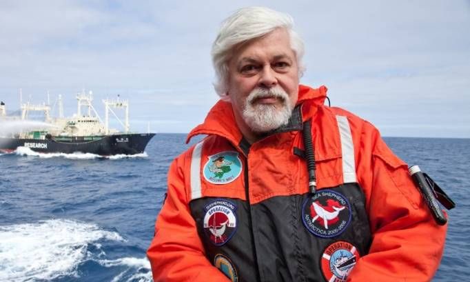 Zaz_Official's tweet photo. JOUR 3 💔
Paul Watson s'est battu toute sa vie pour les baleines et les océans. Aujourd'hui, nous devons nous battre pour lui ! 

��
#freepaulwatson

👉 Lien de la pétition 
https://t.co/vMzKj0qXea

#PaulWatson https://t.co/nY6bN63coV