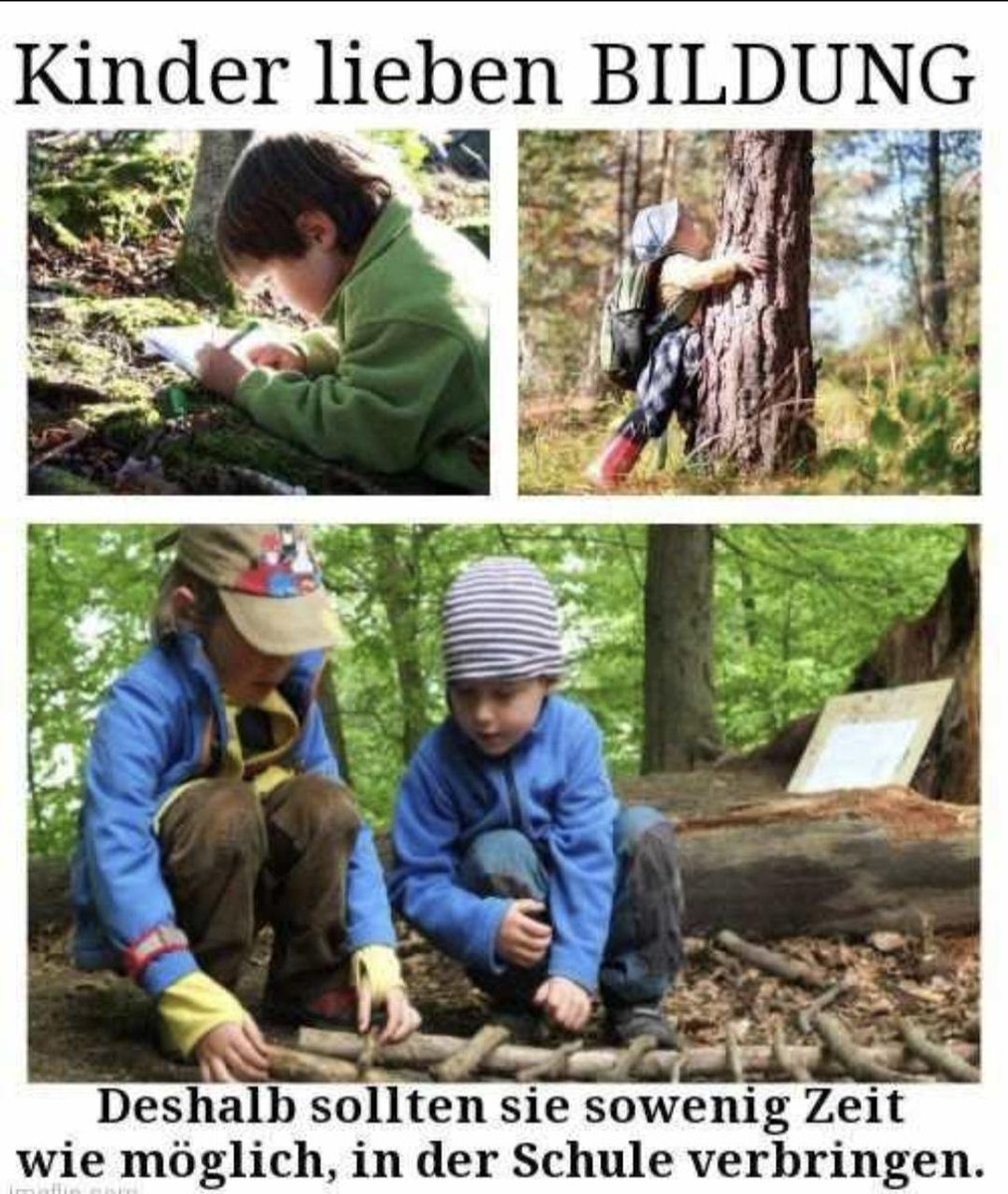 Das ist mein persönlicher Spruch des Jahres!
Schluss mit den Intellektuellen ohne Verstand!
Damit würde sich auch das Problem der Wahl- und Spaltei-Gläubigen lösen.
Wer weiß, dass er auf sich selbst vertrauen kann (OHNE Versicherung), braucht keine Führung!