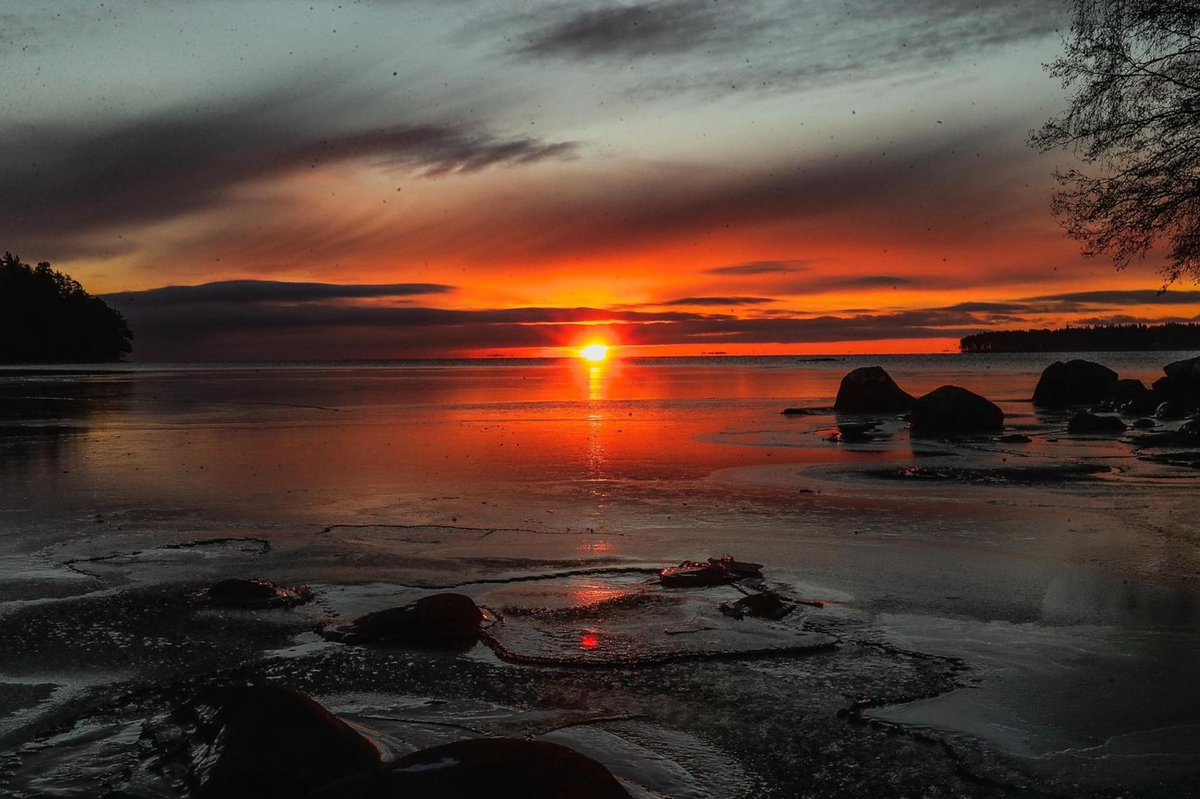 77 Minuten Pressekonferenz zu den #RKIProtokollen, #RKIFILES: 

Ich war wütend, war erleichtert. Traurig. Erfreut. Schockiert. Und fühlte mich immer wieder bestätigt. Ich habe gelacht und ich habe auch geweint. Es war für mich auch eine Reise zurück zu den genannten Zeitpunkten