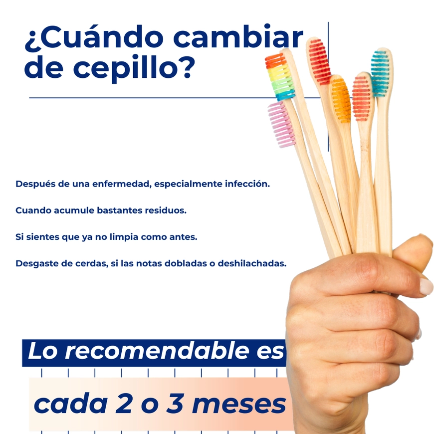 ¿Cada cuanto tiempo debo cambiar mi cepillo de dientes?