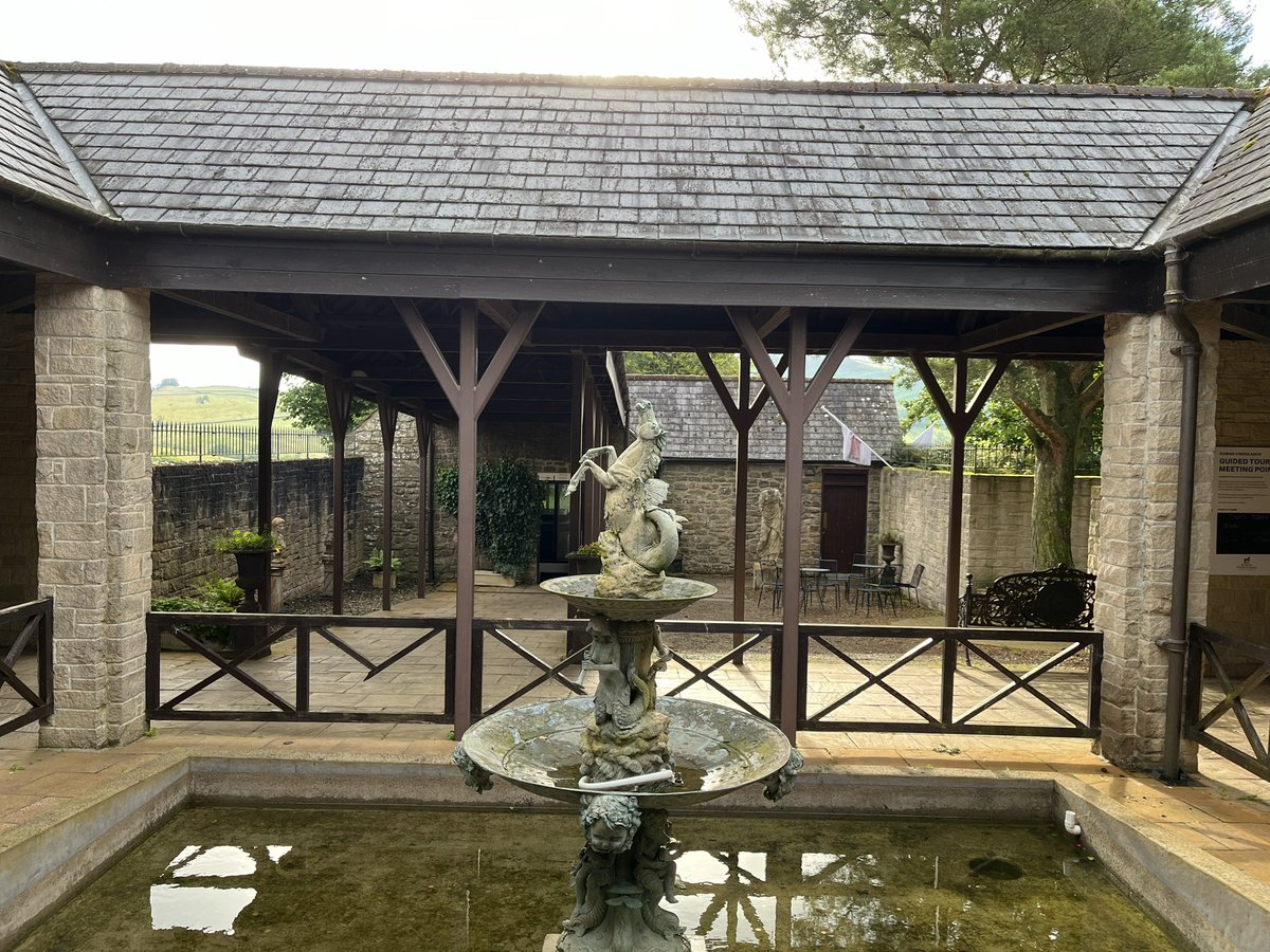 Letty Stott tweet media