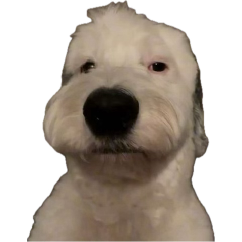 speecilBS's tweet photo. retweet if you are a true @EnkaOCE fan‼️(ignore brian griffin) https://t.co/jPUGbhv8Sw