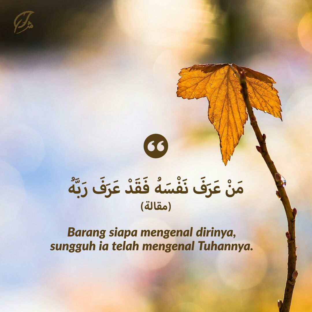 muhdfaruqq's tweet photo. Tuhan menjadikan manusia adalah untuk supaya Beliau dikenali dan manusia juga merupakan ciptaanNya yang paling SEMPURNA. Jadi sudah semestinya dengan cara mengenal siapa diri kita adalah cara terbaik untuk mengenal Tuhan kerana Beliau Maha SEMPURNA. https://t.co/RvZS8y6ktc