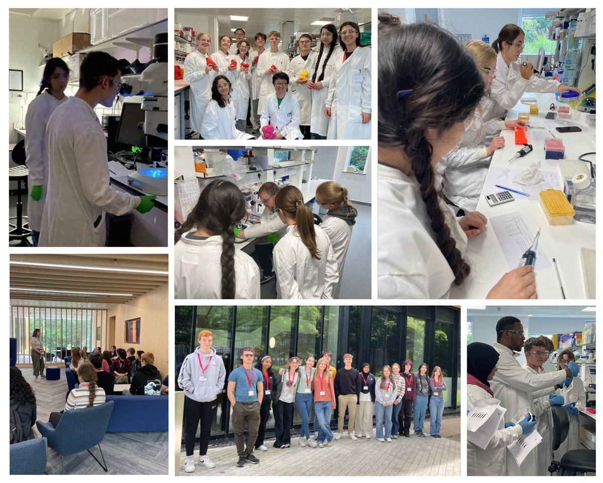 Department of Physiology Anatomy & Genetics (DPAG) (@oxforddpag) on Twitter photo Staff and students <a href="/Ludwig_Cancer/">Ludwig Cancer</a> and <a href="/IdrmOxford/">Oxford_IDRM</a> enjoyed hosting a group of year 12 students from in and around Oxfordshire who spent a week learning about various careers in biomedical research through talks, tours and hands-on lab experiences. Staff and students <a href="/Ludwig_Cancer/">Ludwig Cancer</a> and <a href="/IdrmOxford/">Oxford_IDRM</a> enjoyed hosting a group of year 12 students from in and around Oxfordshire who spent a week learning about various careers in biomedical research through talks, tours and hands-on lab experiences.