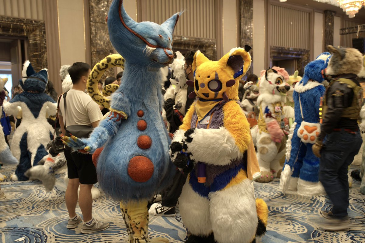 比较有特点的三只
#furry