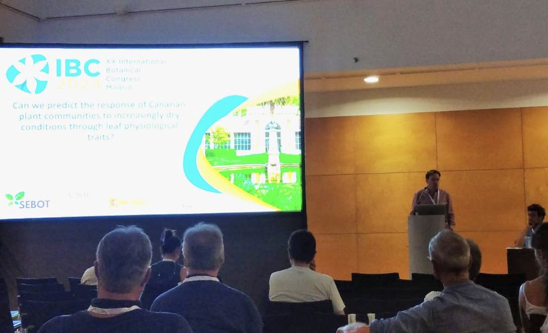 ecofisioveg_ULL's tweet photo. Can we predict the response of Canarian plant comunities to increasingly dry conditions through leaf physiological traits?
We’re speaking right now in @ibc2024
#ecoscan #canarianplants #ecophysiology #canariannationalparks https://t.co/KkKcXZzkQS