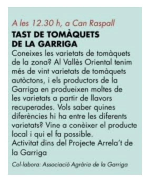 agrarialagarrig's tweet photo. Bona collita de tomàquet de #lagarriga. I per la #festamajor els podreu tastar. Us esperem a Can Raspall el dia 4 d'agost a les 12.30 #vallesoriental #pagesia #pometa #agrària https://t.co/Y6GQFIx1Xj