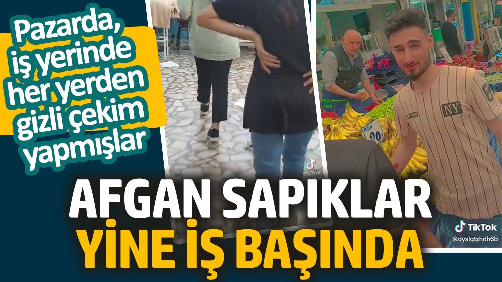 Köpekleri değil ülkeye doldurduğunuz sapıkları, katilleri uyutun.

#YasaDeğilCinayet