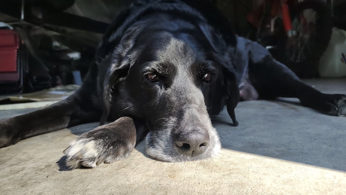 CANUCK BASSIN tweet media