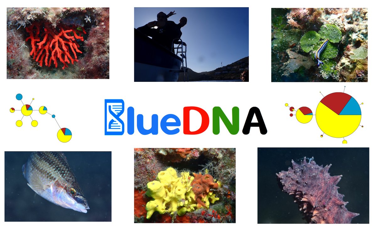 Owen S. Wangensteen (@owenwangensteen) on Twitter photo So happy to announce that our collaborative project <a href="/BlueDNAProject/">Blue DNA</a> has been awarded by <a href="/AgEInves/">Agencia Estatal de Investigación</a> to research new genomics applications in marine environments for the next 3 years! This is going to be fun! With <a href="/CCarrerasHuergo/">Carlos</a>, <a href="/M_Rius_/">Marc Rius - Ecology & Evolution Lab</a>, and and amazing dream team of researchers So happy to announce that our collaborative project <a href="/BlueDNAProject/">Blue DNA</a> has been awarded by <a href="/AgEInves/">Agencia Estatal de Investigación</a> to research new genomics applications in marine environments for the next 3 years! This is going to be fun! With <a href="/CCarrerasHuergo/">Carlos</a>, <a href="/M_Rius_/">Marc Rius - Ecology & Evolution Lab</a>, and and amazing dream team of researchers
