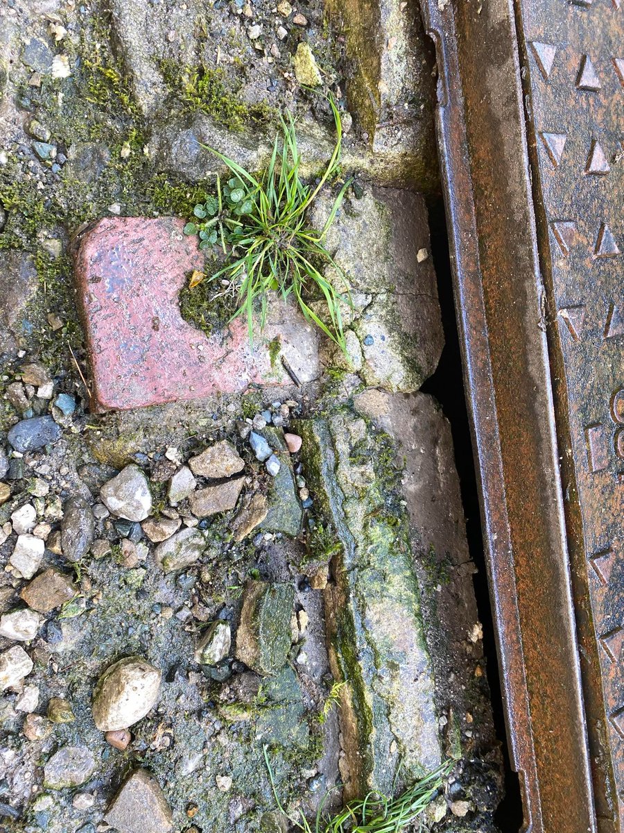 malgovere's tweet photo. @YorkshireWater Couple of smart fellows turned up  - apparently it's not YW's responsibility to ensure this foul sewer on a public track is properly sealed... https://t.co/l3IdhsjBxy