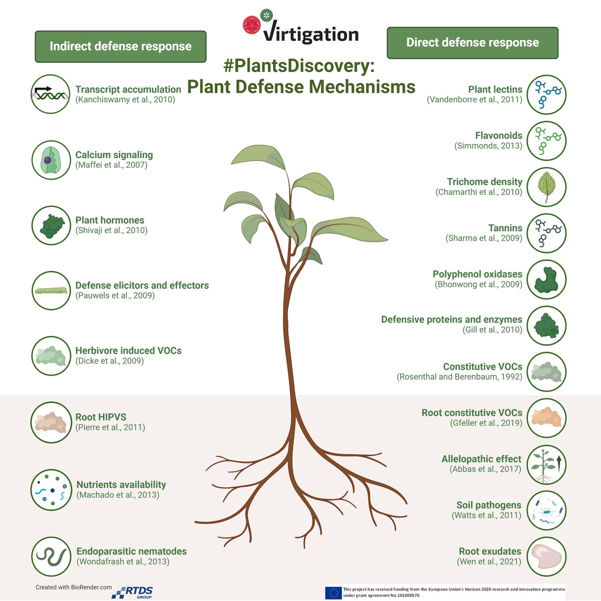 VIRTIGATION - save tomatoes & cucurbits from virus (@virtigation) on Twitter photo #PlantDefense mechanisms involve intricate #signaling pathways that trigger activation & inhibition of various #responses, direct & indirect, achieved through #signal transduction. Our new infographics series #PlantsDiscovery shines a light on these mechanisms: #H2020 #EUFunded #PlantDefense mechanisms involve intricate #signaling pathways that trigger activation & inhibition of various #responses, direct & indirect, achieved through #signal transduction. Our new infographics series #PlantsDiscovery shines a light on these mechanisms: #H2020 #EUFunded