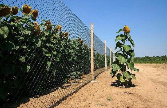 Nini_MacBright tweet media