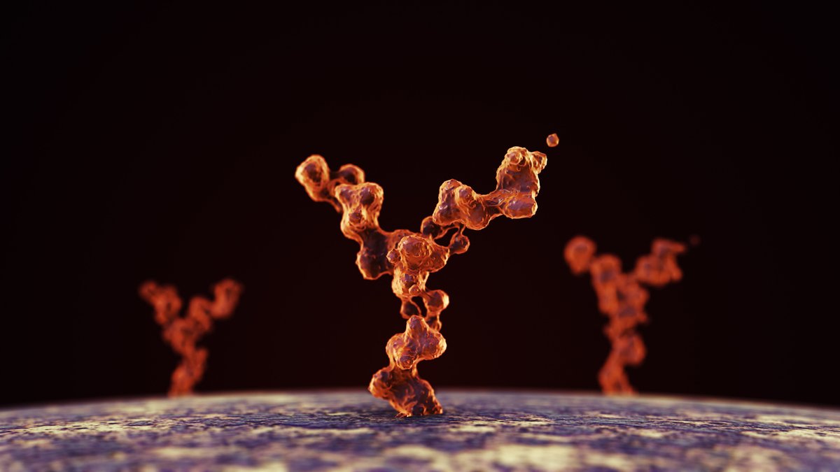 LGC in partnership with ATCC (@atcc_lgc) on Twitter photo A new study from <a href="/UZH_Virology/">UZH Medical Virology</a> scientists (<a href="/UZH_en/">University of Zurich</a>) has found that self-targeting #AutoAntibodies may be responsible for viral susceptibility later in life 📉
Learn how the research may lead to new diagnostic tests at <a href="/EurekAlert/">EurekAlert!</a>: eurekalert.org/news-releases/… A new study from <a href="/UZH_Virology/">UZH Medical Virology</a> scientists (<a href="/UZH_en/">University of Zurich</a>) has found that self-targeting #AutoAntibodies may be responsible for viral susceptibility later in life 📉
Learn how the research may lead to new diagnostic tests at <a href="/EurekAlert/">EurekAlert!</a>: eurekalert.org/news-releases/…
