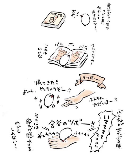 明日も20〜21時にイラスト投稿します🐦
『ぶんちょが荒ぶる時』(再掲) 
