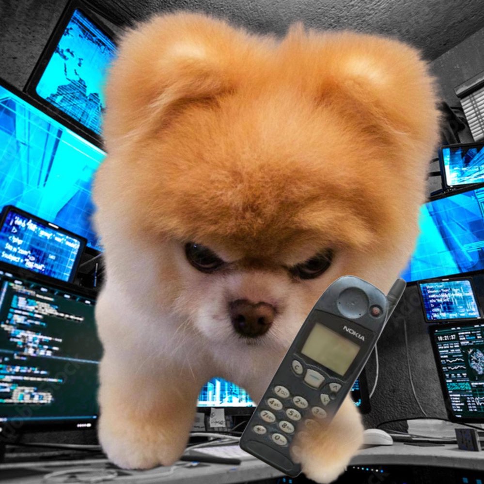 boodogsolana's tweet photo. @SatoshiFlipper I guess we found a $BOO-ttom teww over here @SatoshiFlipper 

JAwSmRGpMsT7USzHh5e9hMkFE6sFyXEzUwgHRsRBpump https://t.co/sEPexD7kFI