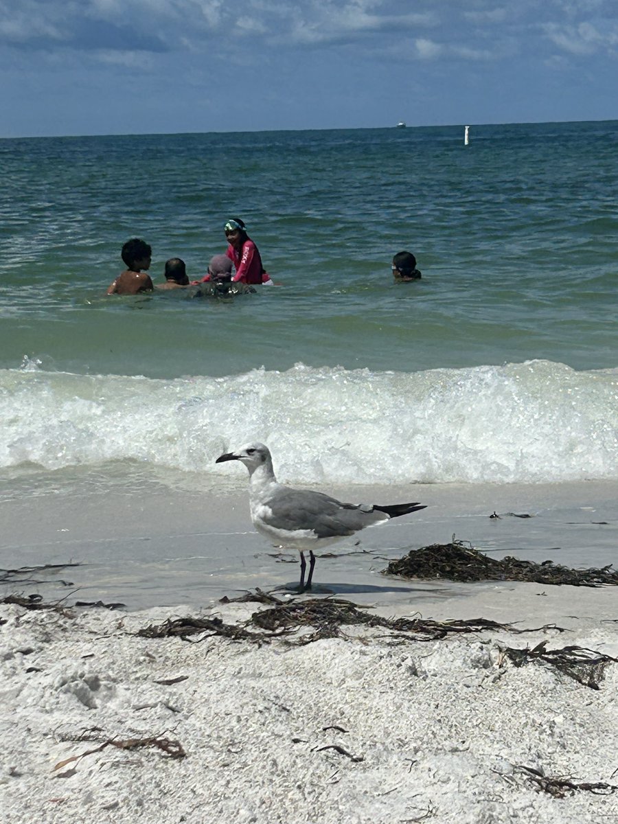 Deloulou28's tweet image. Best way to spend #1DDay #14YearsOfOneDirection #14YearsOf1D #Kevin