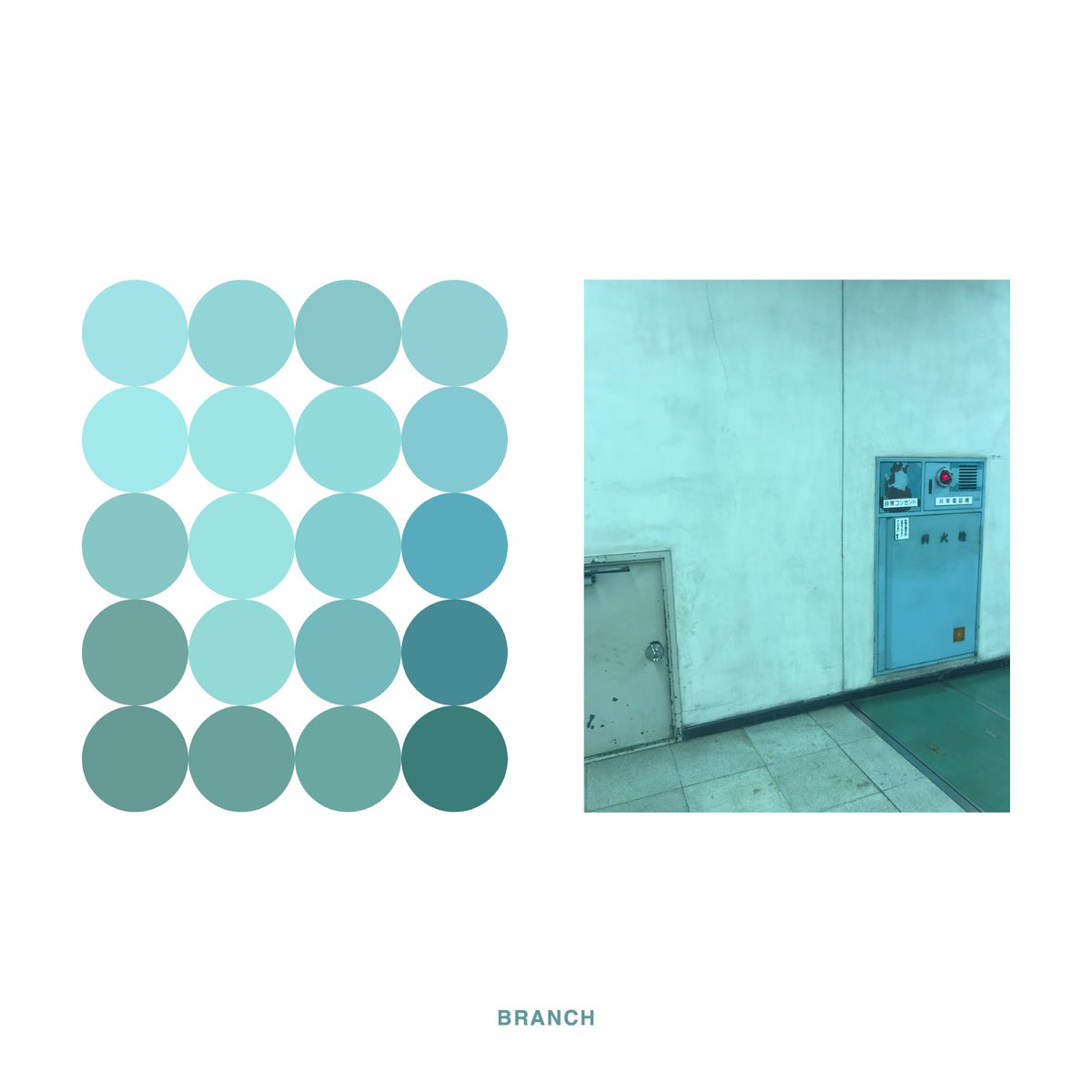 色に還す。
Turn into the color.

#BRANCH #objectiveeye #turnintothecolor #artandscience