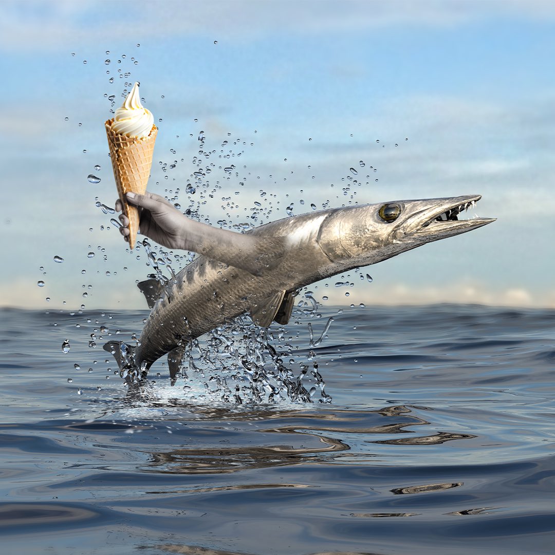 sjbarracuda's tweet image. If this Cuda with ice cream gets 15k views, Cudadmin will leak something he’s not supposed to🫢