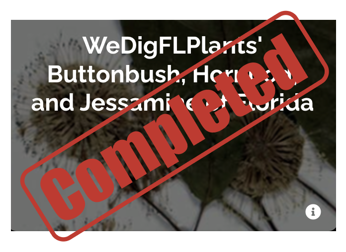 WeDigFLPlants tweet media