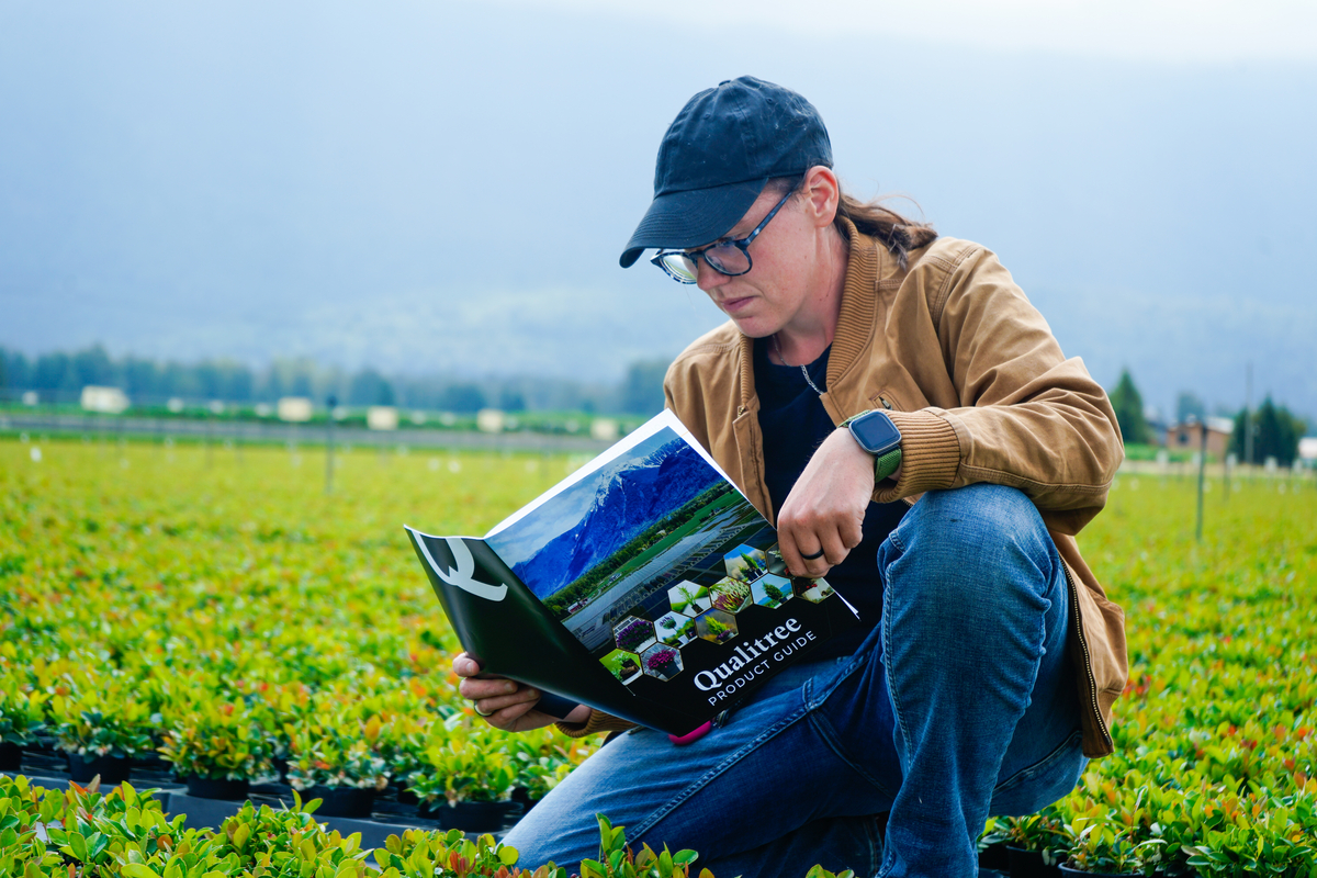 Qualitree tweet media