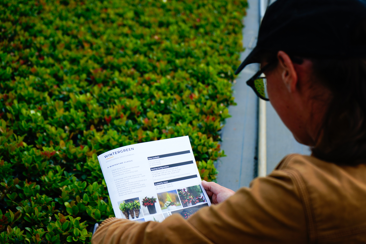 Qualitree tweet media