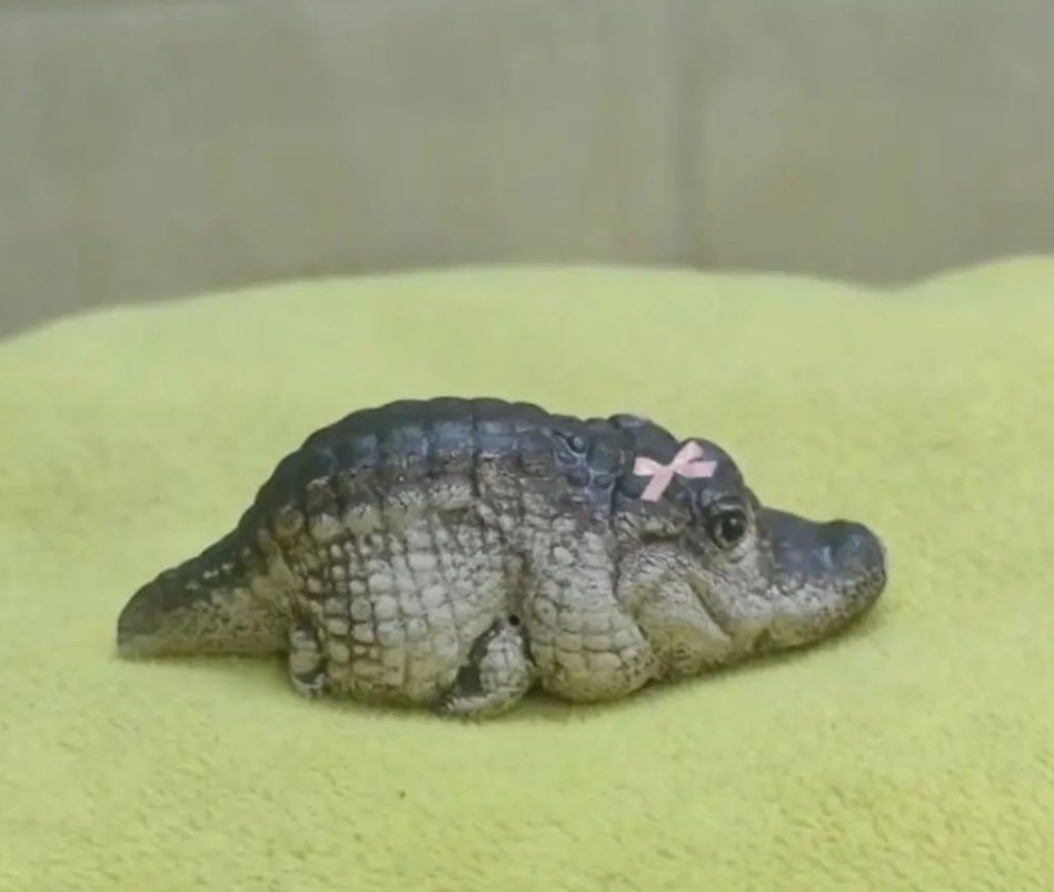 𝐑𝐢𝐲𝐚 𝐁𝐚𝐧𝐞𝐫𝐣𝐞𝐞 💕 tweet media