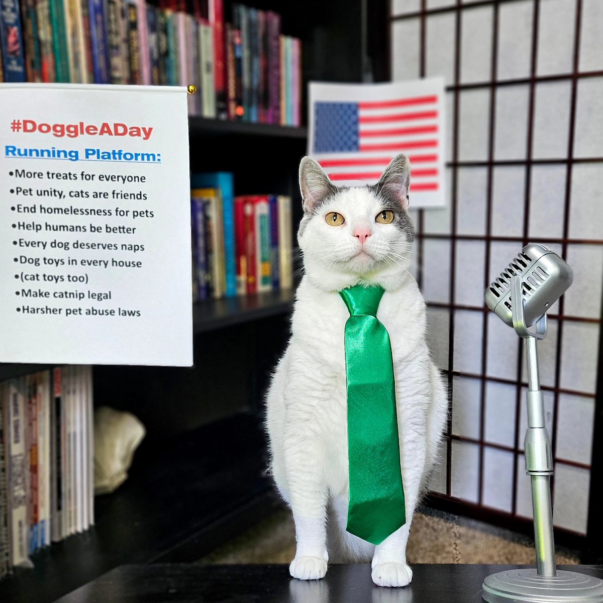 katenauthor's tweet photo. #DoggleADay and #ClarkCat are stumping for votes. They're excited to announce their platform to all potential voters.
Take it away, Jill &amp; Clark!
#Doggle4President2024
#DoggleInChief https://t.co/dzgCbM50Cz