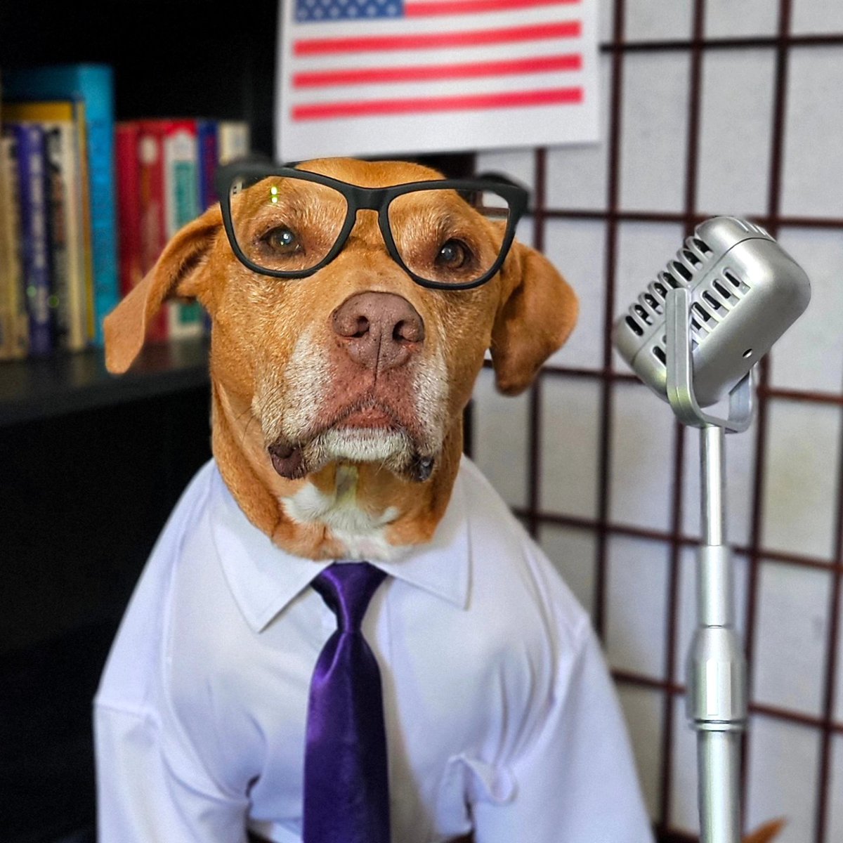 katenauthor's tweet photo. #DoggleADay and #ClarkCat are stumping for votes. They're excited to announce their platform to all potential voters.
Take it away, Jill &amp; Clark!
#Doggle4President2024
#DoggleInChief https://t.co/dzgCbM50Cz