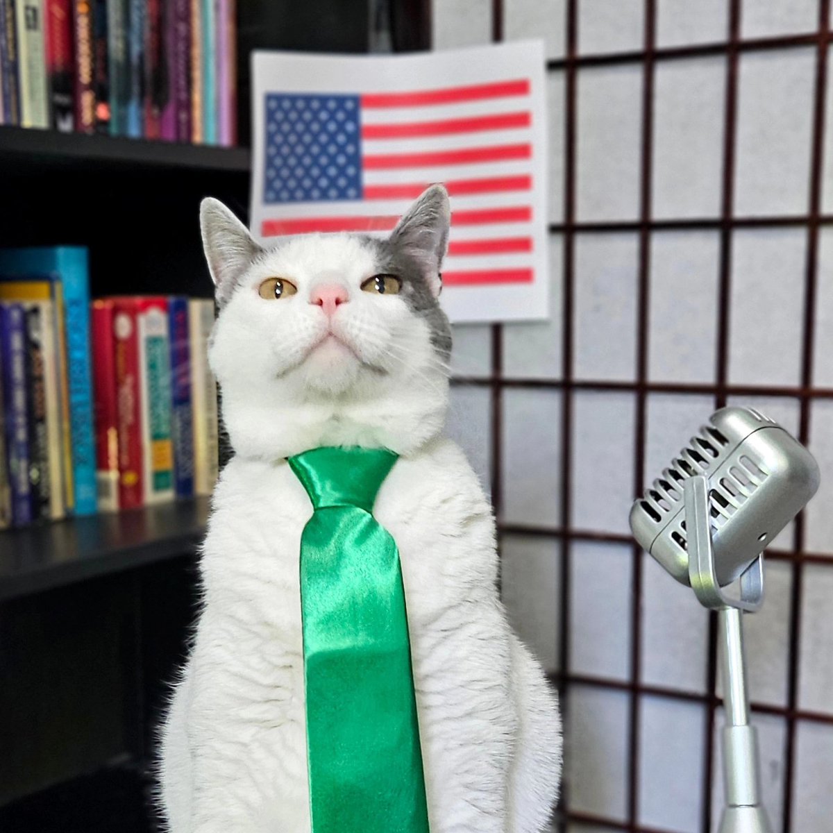 katenauthor's tweet photo. #DoggleADay and #ClarkCat are stumping for votes. They're excited to announce their platform to all potential voters.
Take it away, Jill &amp; Clark!
#Doggle4President2024
#DoggleInChief https://t.co/dzgCbM50Cz