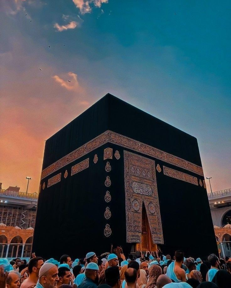 السلام علیکم 🤝

Good night 😴 🥱 🌃 🌙 

Everyone 🥰

All X Family's 🥰

God bless you 😘