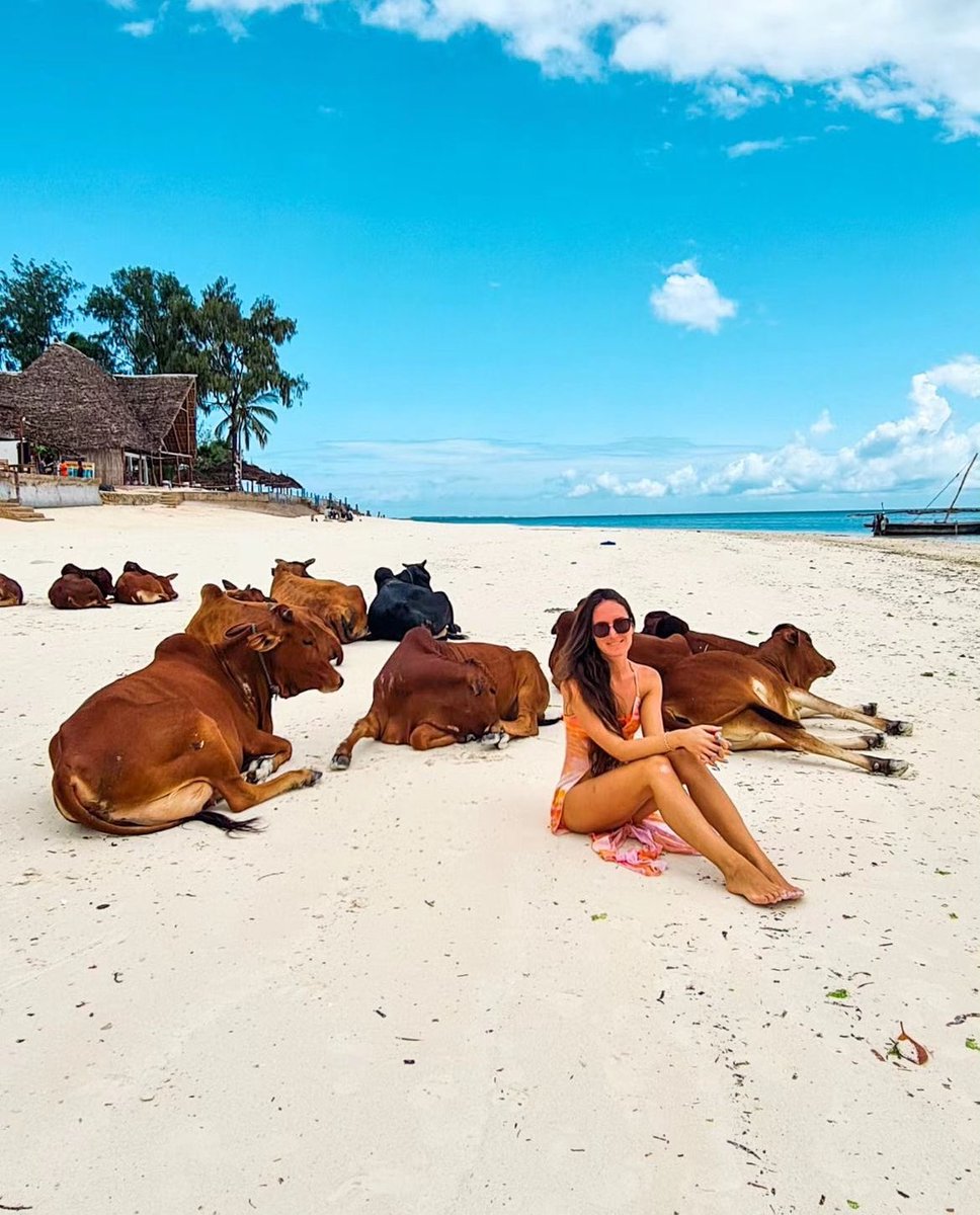 tripdocom's tweet photo. 🇹🇿 Zanzibar Island is a paradise of white sand beaches, coral reefs & diving sites.
*
*
*
https://t.co/lq0y2m0X4W 
*
ImaGe by @ paradiescreme89 
*
*
#zanzibar #zanzibarbeach #travelblogger #tansania #igzanzibar #visitzanzibar #travelblogger #escape #baladinzanzibar #worlderlust #luxurytravel #traveltheworld #sunset #tripdo #instatripdo #photooftheday #vacation #holiday #islandlife #islandvacation #zanzibarisland