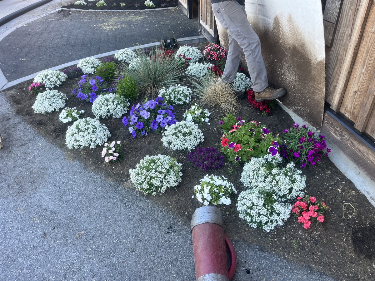 denbowltd's tweet photo. This flower bed transformation is stunning! 😍 This customer used our Aged Mulch to not only add a clean look, but to also add nutrients to these flowers. Our Aged Mulch is composted, and making it the perfect product for projects like this.🌷🌻
#Denbow #Expressblower #mulch https://t.co/dtQG03yNWG