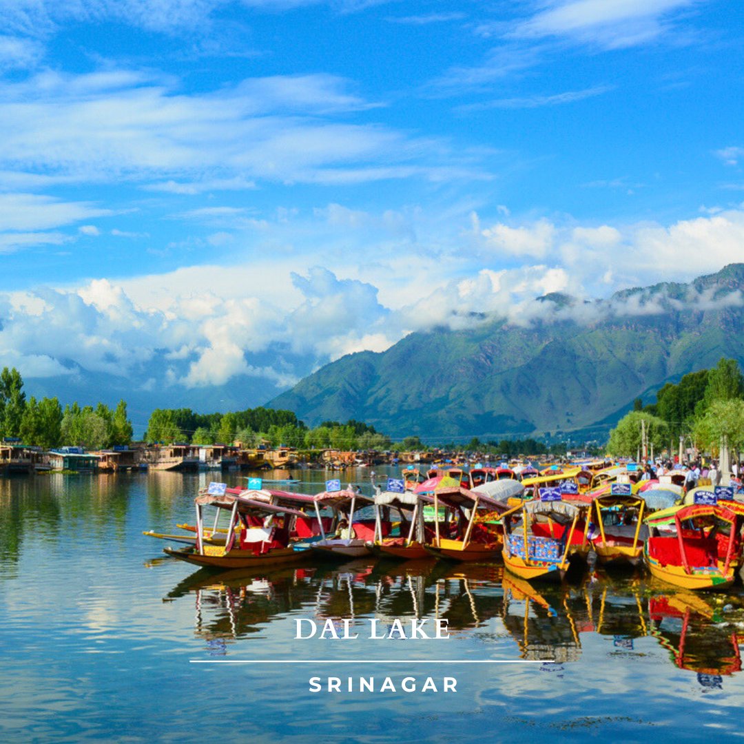 MyTourBox's tweet photo. Boating on Dal Lake is pure magic! 🌅✨ Drift on a shikara, surrounded by the Himalayas, floating gardens, and vibrant houseboats. Sunrise and sunset views are breathtaking. Truly the 'Jewel of Kashmir.'

#MyTourBox #DalLake #Kashmir #ShikaraRide https://t.co/4Vc80T4lS5