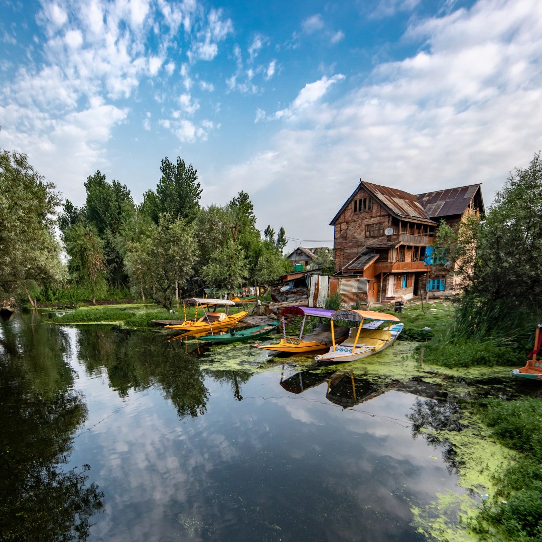 MyTourBox's tweet photo. Boating on Dal Lake is pure magic! 🌅✨ Drift on a shikara, surrounded by the Himalayas, floating gardens, and vibrant houseboats. Sunrise and sunset views are breathtaking. Truly the 'Jewel of Kashmir.'

#MyTourBox #DalLake #Kashmir #ShikaraRide https://t.co/4Vc80T4lS5