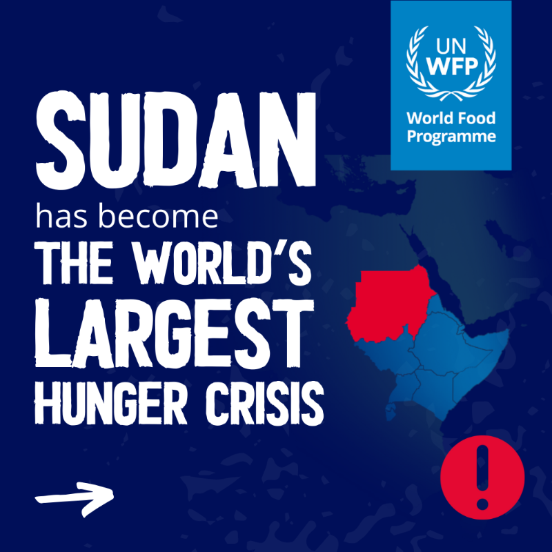 WFP's tweet photo. The latest analysis warns #Sudan has become the world's largest hunger crisis.

🔴 Over half the population is experiencing extreme hunger
🔴 People in 14 areas are at risk of #famine
🔴 Fighting is hampering humanitarian access and people's ability to grow food

Get the facts ⏩