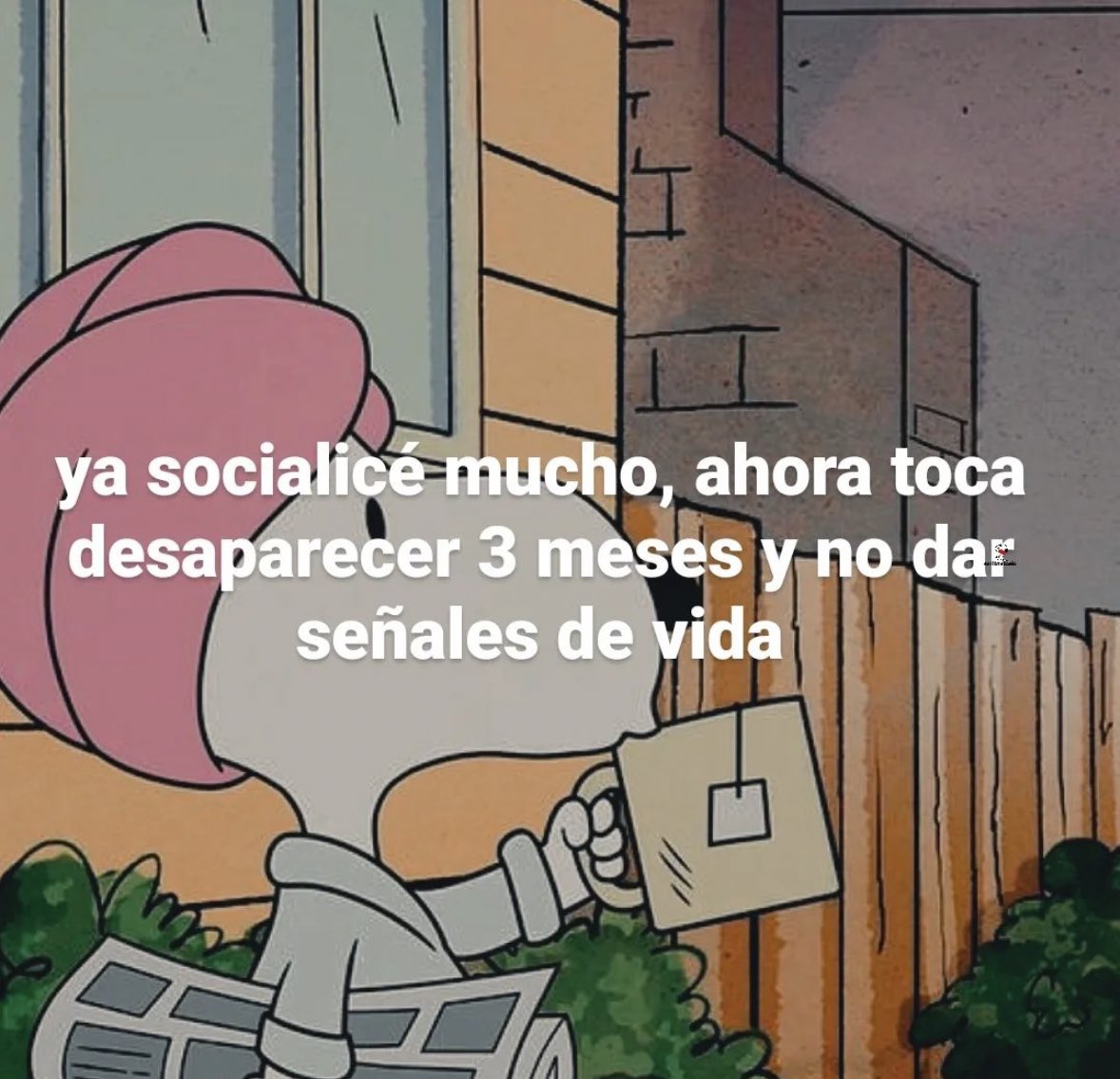 Jime Irusta tweet media