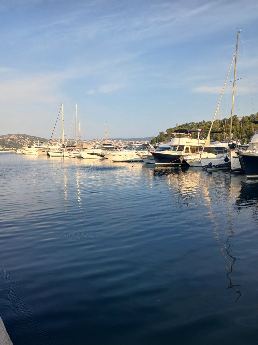 Trafe4Fun's tweet image. It&apos;s Turkey 🇹🇷 😋