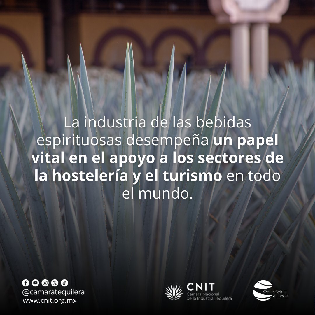 camaratequilera's tweet photo. Te invitamos a conocer el estudio del impacto global de las bebidas espirituosas presentado por la World Spirits Alliance.

@wsa_spirits 

#CNIT #TEQUILA #MÉXICO https://t.co/inLpE7unLy