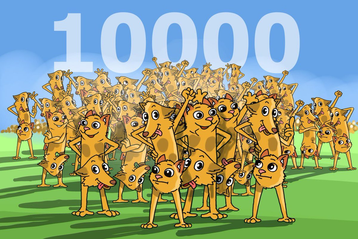 catdog_meme's tweet image. 10,000 CatDogs united

$CATDOG is just getting started