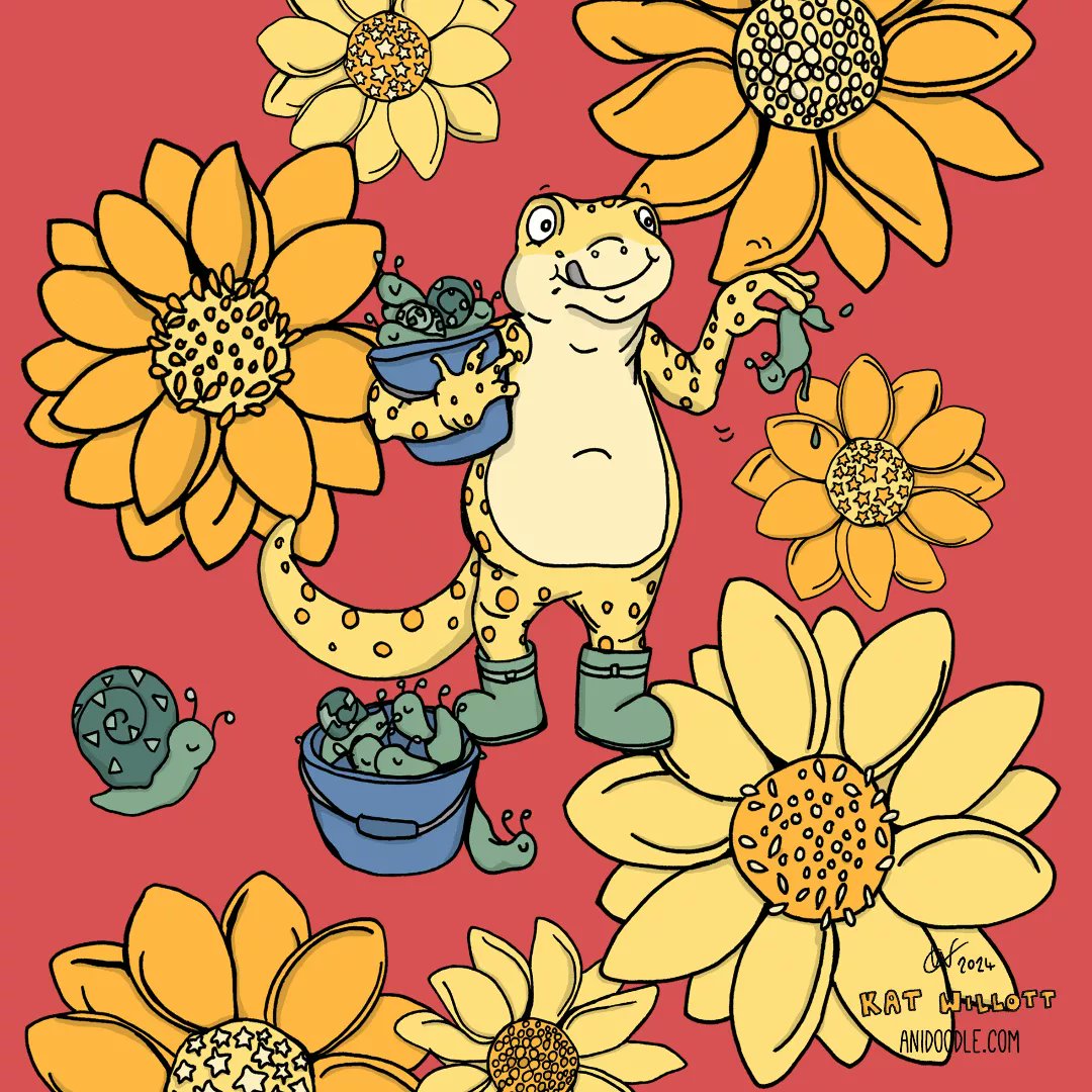 Kat Willott tweet media