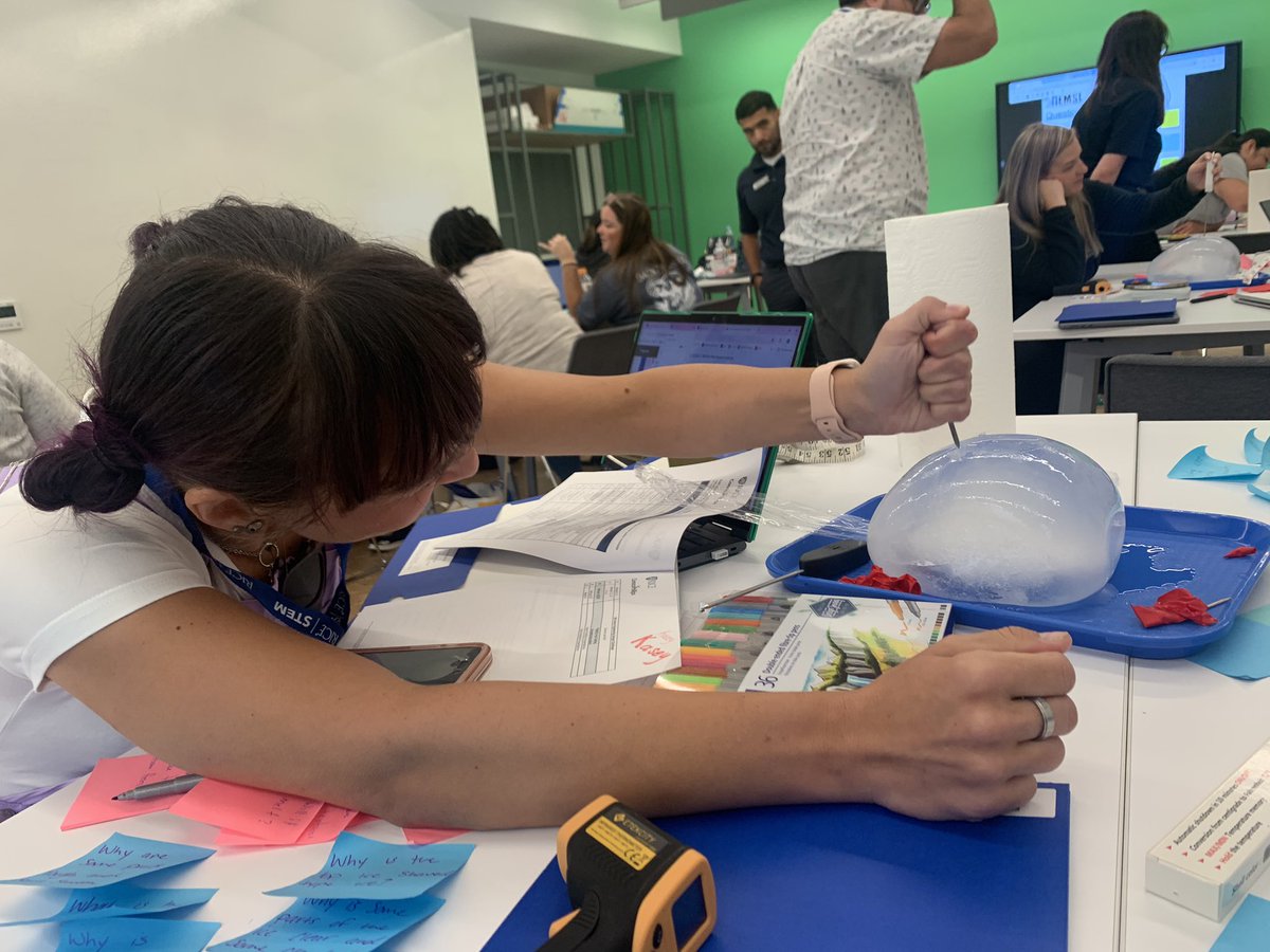 Stefani Bolt tweet media