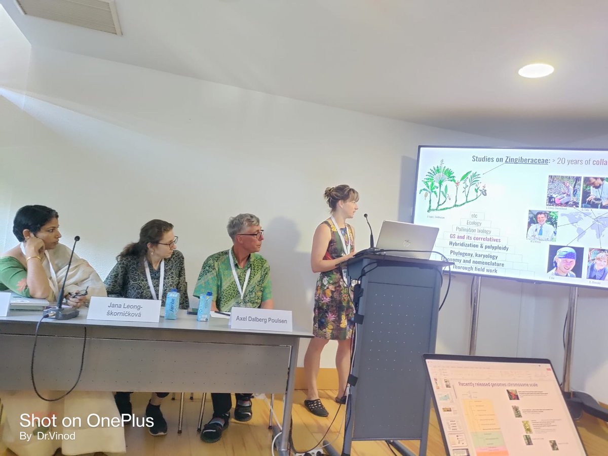 vinita_gowda's tweet photo. Day 2:
3 out of 7 talks down!
- @rhuthuparna from @TrEE_Lab
on #Gesneriaceae and my talk in the #Zingiberales symposium with @AxelGinger and #JanaSkornickova at #IBC2024
Talks by #eliskaZaveska #tomasFer #vinitaGowda #napasorn #hongFan and the amazing #musaceae work by @Pathh1 https://t.co/ALnToJVbRS