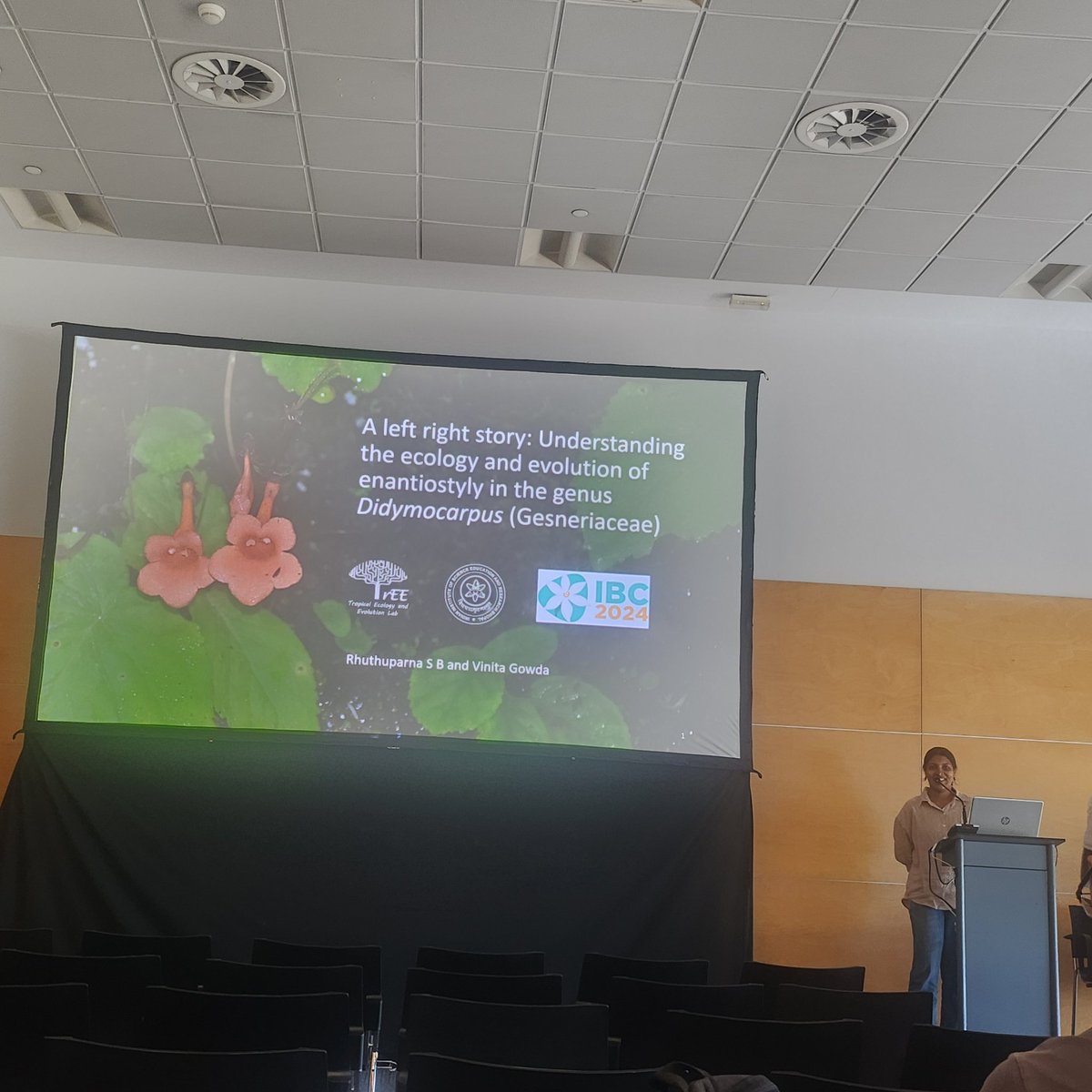vinita_gowda's tweet photo. Day 2:
3 out of 7 talks down!
- @rhuthuparna from @TrEE_Lab
on #Gesneriaceae and my talk in the #Zingiberales symposium with @AxelGinger and #JanaSkornickova at #IBC2024
Talks by #eliskaZaveska #tomasFer #vinitaGowda #napasorn #hongFan and the amazing #musaceae work by @Pathh1 https://t.co/ALnToJVbRS